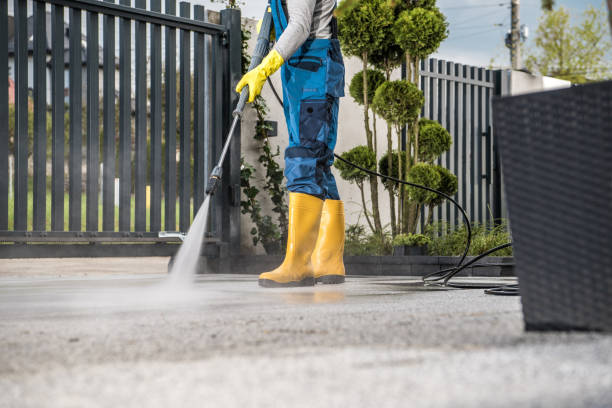 Best Window and Screen Pressure Cleaning in Paia, HI